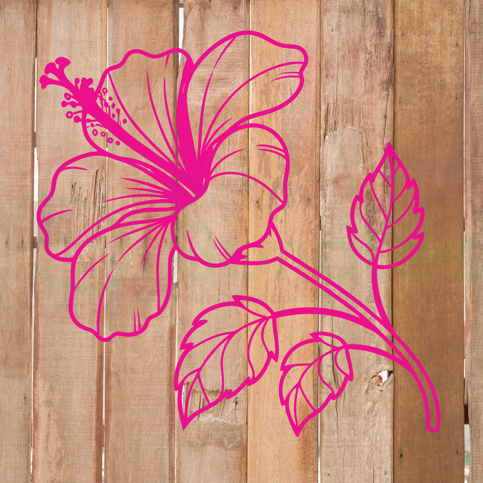Hibiscus Flowers SVG